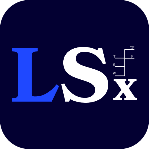 LoadSafeX